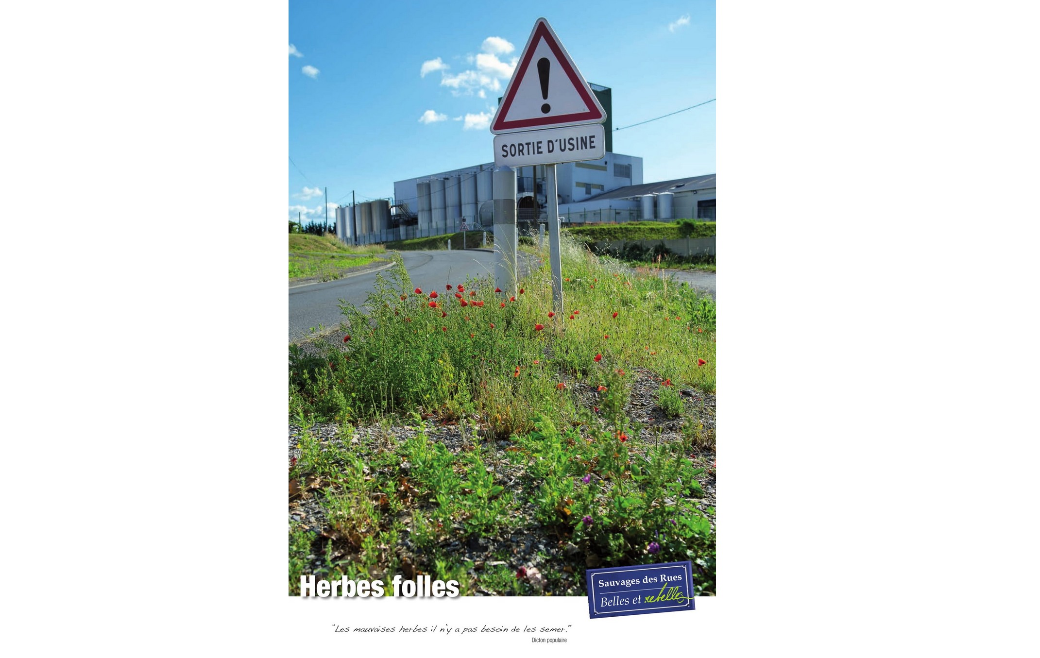 Exposition sauvages des rues herbes folles