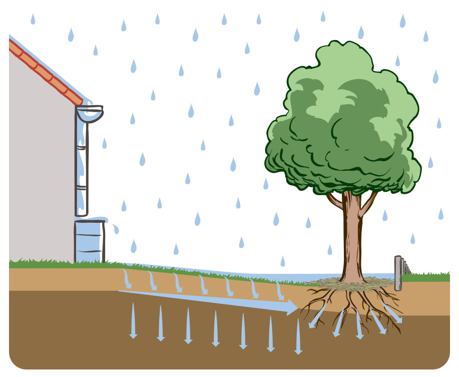 La gestion intégrée des eaux de pluie, mais qu'est-ce-que c'est ? - CPIE  Loire Anjou